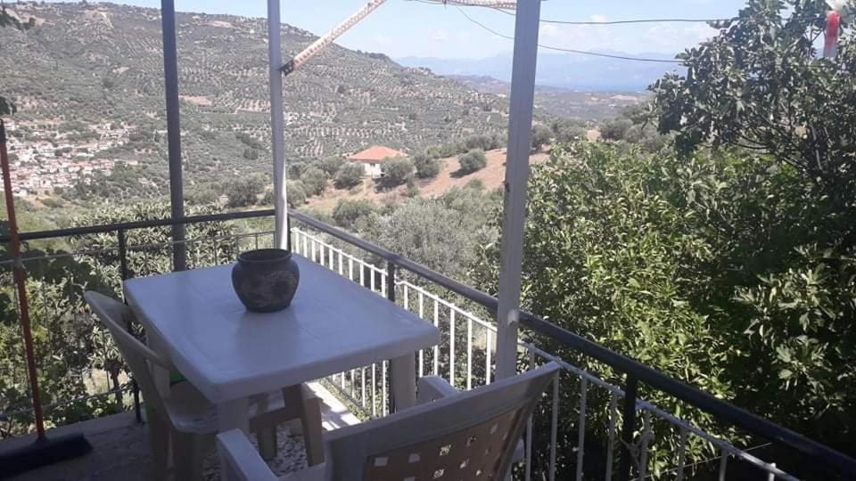 Villa Vacation House Dionysia Egio Exterior foto